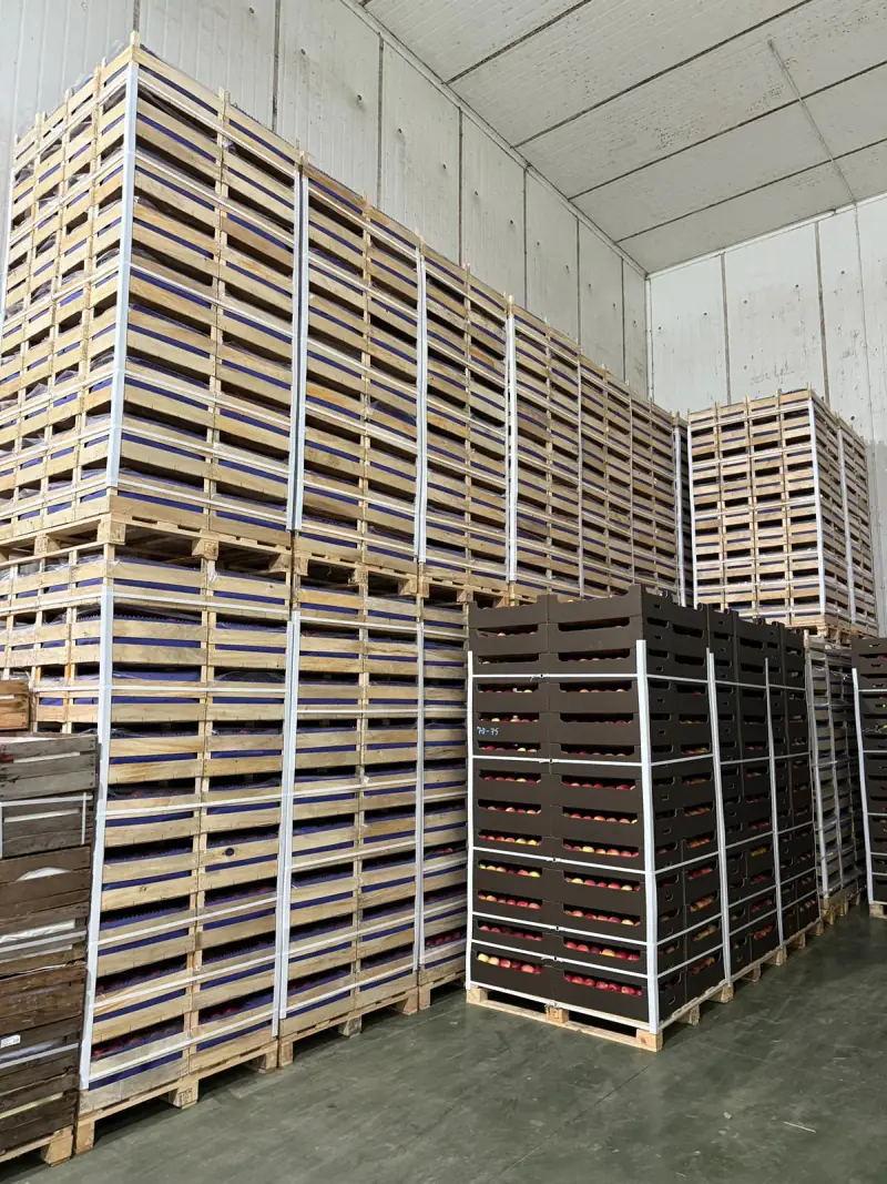 Cold storage warehouse